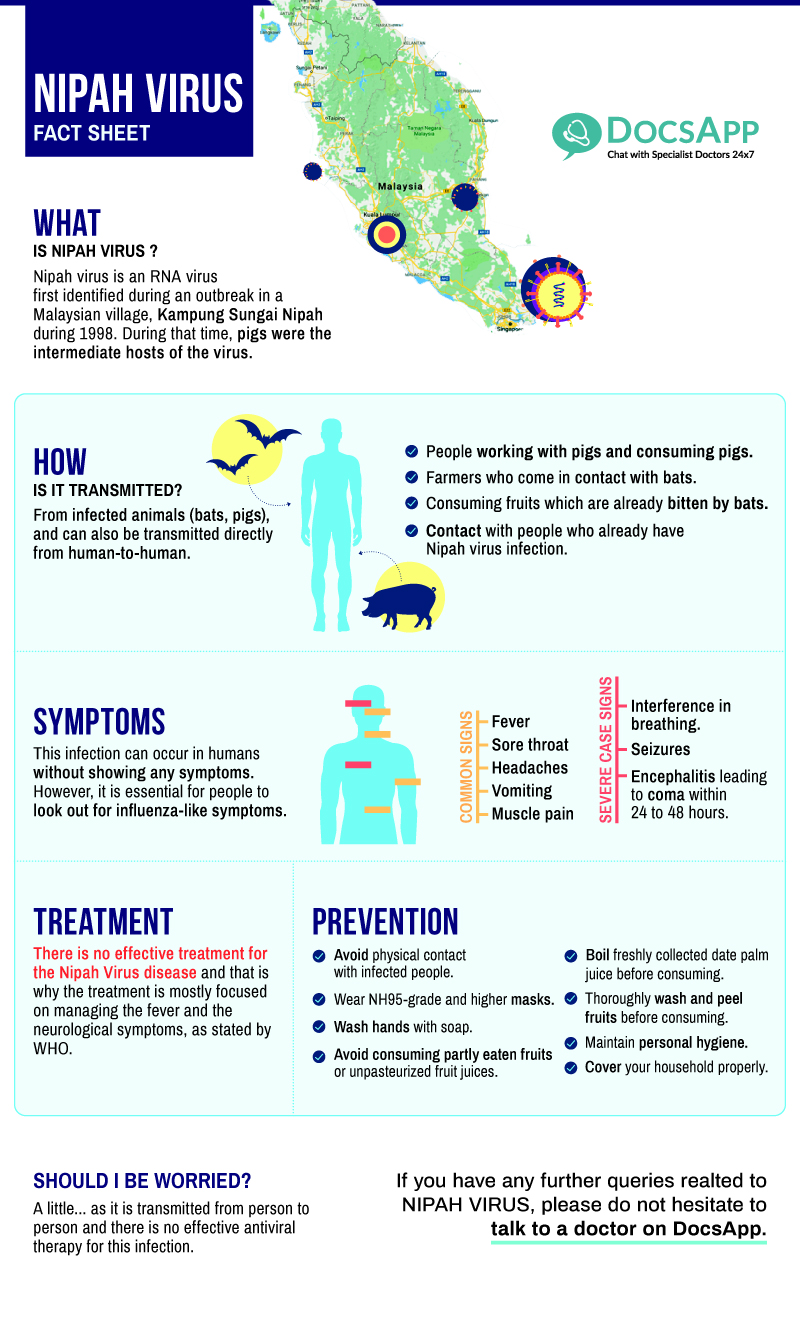Nipah-Virus-infohraphic
