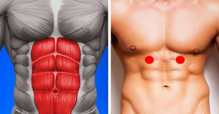 abdomen_702x366