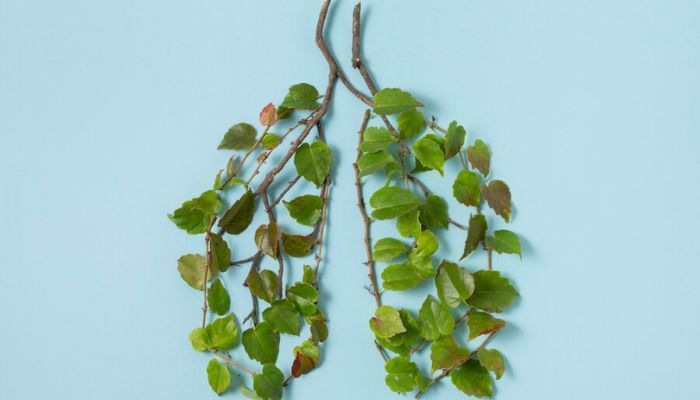 benefits of lungs detoxification