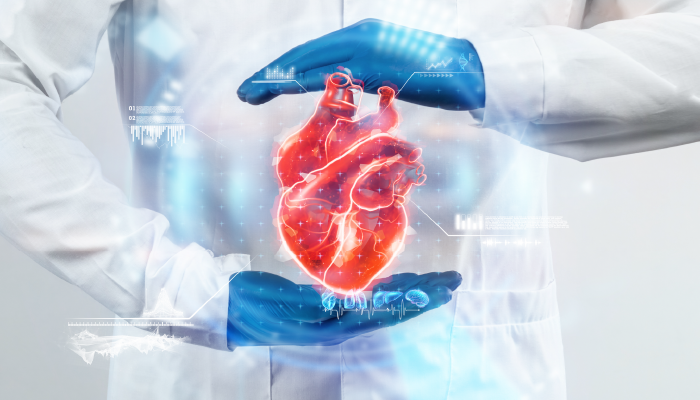 The Road to a Stronger Heart: Exploring the World of Online Cardiology Consultations